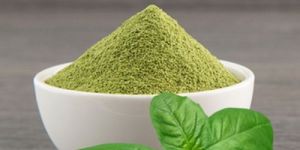 Basil Powder