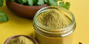 Dehydrated Coriander Leaf Powder