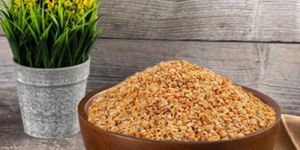 Dehydrated Garlic Minced