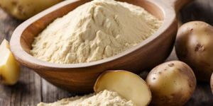 Dehydrated Potato Powder