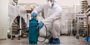 Best Pest Control Service