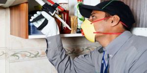 Pest Control Gel Treatment Service