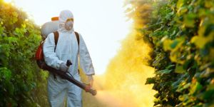 Spray Pesticides Service