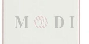 Anchor Modular Plate with Blank Covers