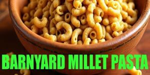Barnyard Millet Pasta
