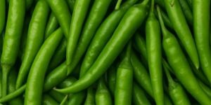 Green Chilli