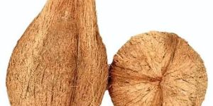 Semi Husked Coconut
