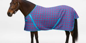 Horse Summer Rug