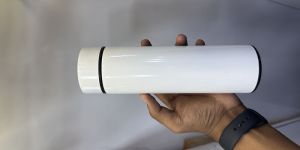 Stainless Steel Temperature Water Bottle