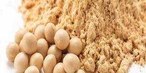 Soya Bean Meal