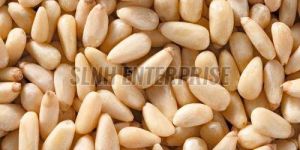 Dried Pine Nut