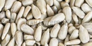Dried White Safflower Seed