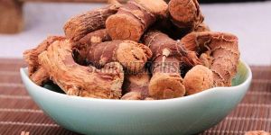 Galangal