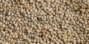 Organic Perilla Seeds