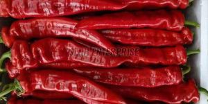 Red Peppers