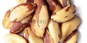 Whole Organic Brazil Nut