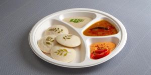 Biodegradable Sugarcane Bagasse Plate