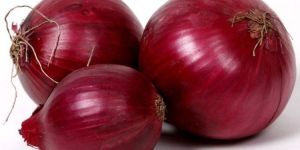 Fresh Red Onion