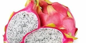 Fresh Dragon Fruit