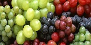 Fresh Grapes