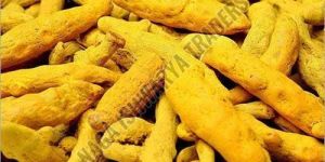Whole Dried Turmeric Finger