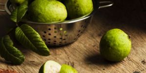 Fresh Green Guava