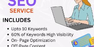 SEO Services in Delhi