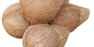 Semi Husked Coconut