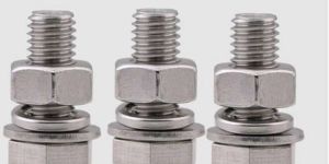 Stainless Steel Hex Screw Nuts Set