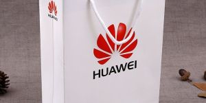 Mobile Carrying Paper Bag