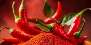 Dried Chillies
