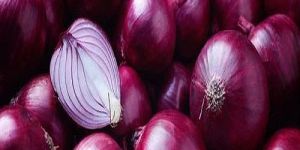 a Grade Fresh Red Onion