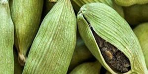 Green Cardamom Seeds