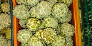 Fresh Custard Apple