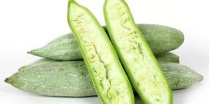 Frozen Snake Gourd