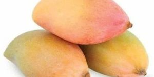 Frozen Totapuri Mango