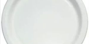 18 Inch Disposable White Paper Plate