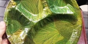 4 CP Disposable Printed Paper Plate