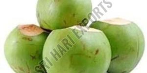 Green Tender Coconut