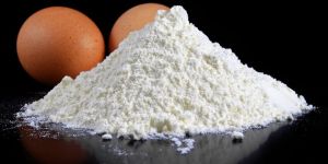 Egg White Powder