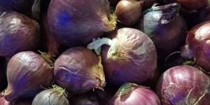 Red Onion