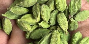 Green Cardamom