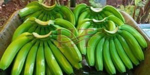 Fresh Green Banana
