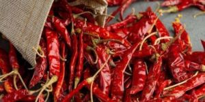 Dried Red Chilli
