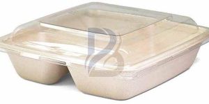 2 Compartment Eco Bagasse Square Plate