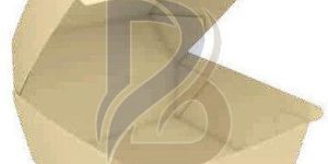 Plain Brown Corrugated Cup Cake Box