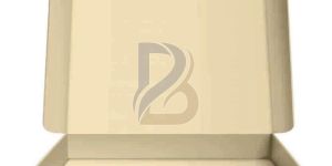 Plain Brown Corrugated Pizza Box