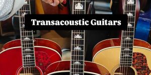 trans acoustic guitars