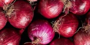 Fresh Red Onion