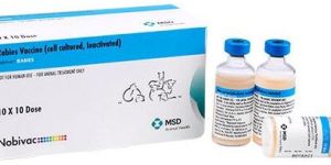 Rabies Vaccine